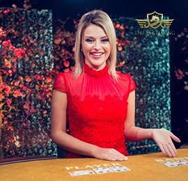 paldo77 live casino dg