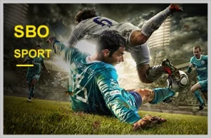 paldo77 sport sbo